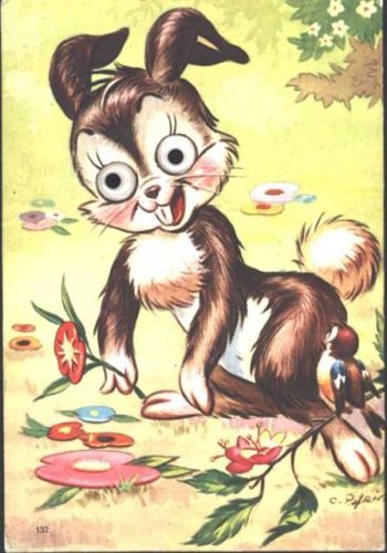 Hase Augen aus Plastik Hase Augen AK