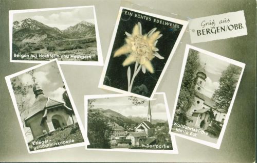 83355 W8221 Bergen , Oberbay AK mit gepresstem Edelweiß Kriegergedächtniskapelle Wallfahrtskirche Maria Eck