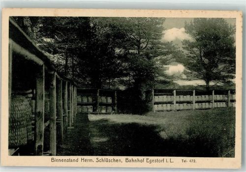 Egestorf Bienenstand Herm. Schlüschen