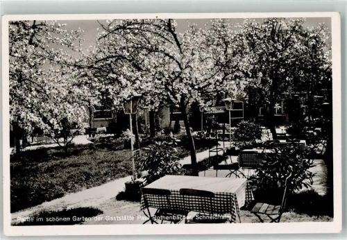 Schneidhain Gasthaus Paul Rothenbächer Garten Baumblüte