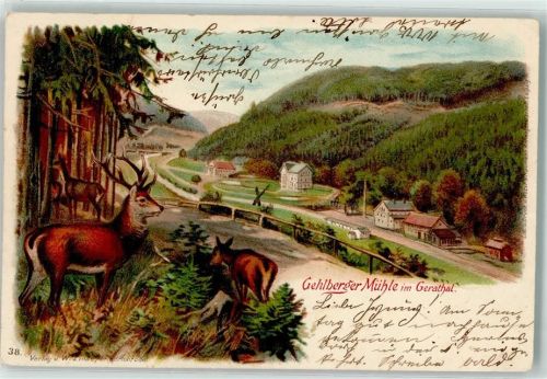 Gehlberg 1902 Gehlberger Mühle im Geratal Hirsch