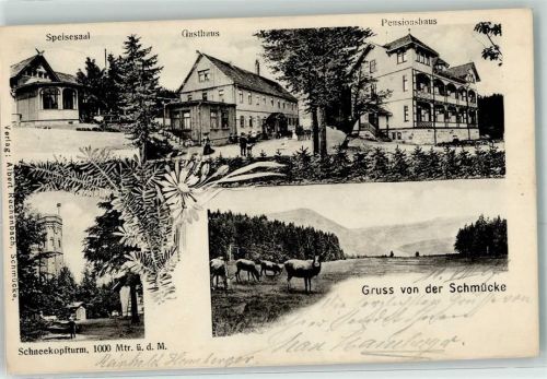 Schmücke Speisesaal Gasthaus Pensionshaus Schneekopfturm Kühe