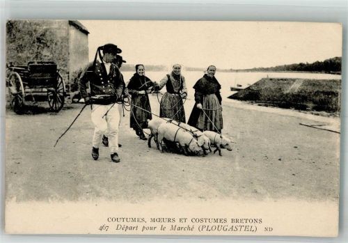 Plougastel-Daoulas 1926 Tracht Schweine Bretanie
