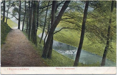 1919 Friedrichsruh, Partie im Sachsenwald,Dr. Trenkler & Co