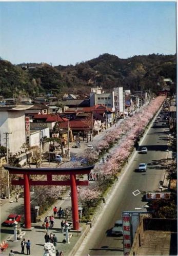 um 1970/80 Straßenbild, -Dankatsura-, Kirschblüte,Nippon Beauty Colopur AKU1