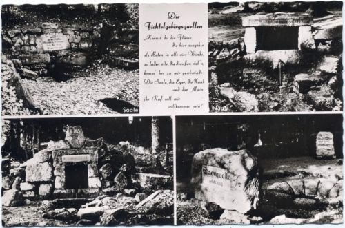 um 1950/60 Marktredwitz: Die Fichtelgebirgsquellen,Löwenhag AKU1