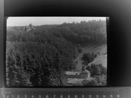 35104 W3540 Dalwigksthal , Waldeck GLASNEGATIV