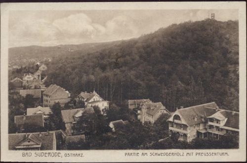 1927 Bad Suderode: Partie am Schwedderholz mit Preußenturm,Louis Glaser