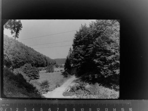 29614 W3040 Willingen GLASNEGATIV