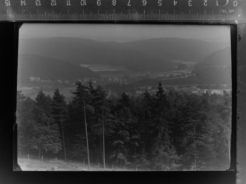 34516 W3546 Oberorke GLASNEGATIV