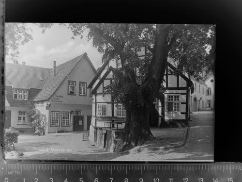 Tecklenburg Marktlinde