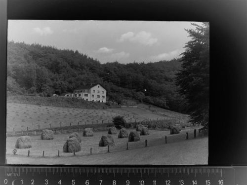 Lohberg