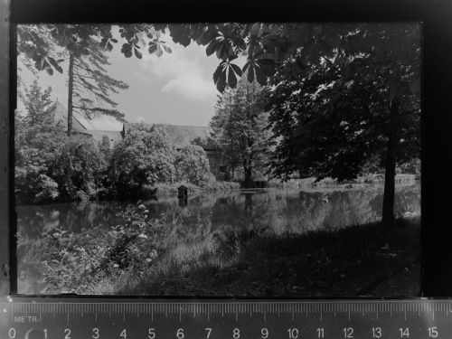 Lich Schlosspark m. Schwanhäuschen