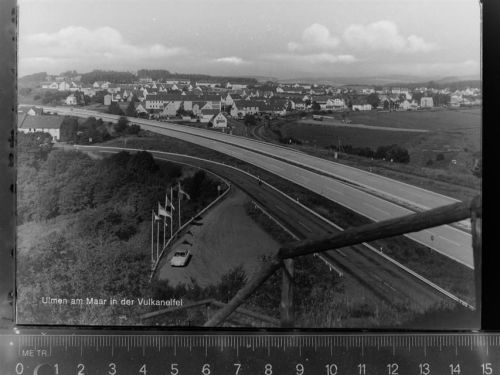 56766 W5447 Ulmen GLASNEGATIV