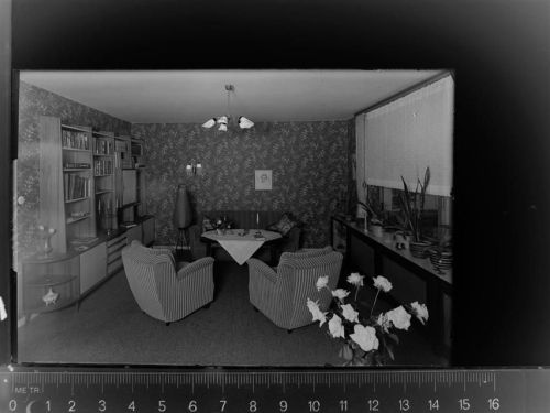 59955 W5788 Züschen , Westf GLASNEGATIV Hotel Peters