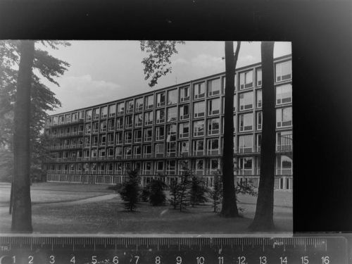 Leverkusen