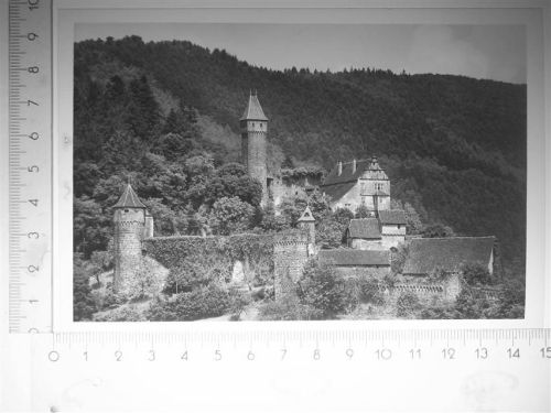 Hirschhorn Schloß