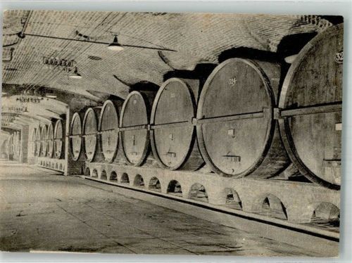12069 Santa Vittoria d'Alba Foto AK Weinfässer Keller Cinzano