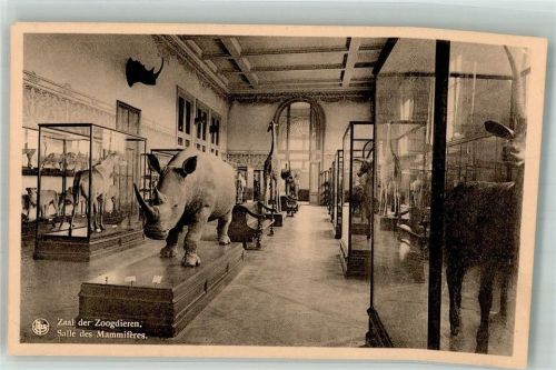 Tervuren Ausstellung Museum Zootiere