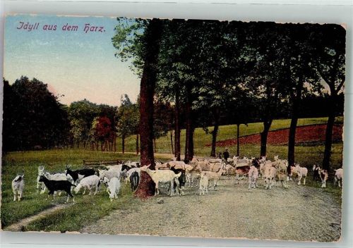 Ziegenherde auf einer Landstraße im Harz Verlag Löffler & Co. 7266