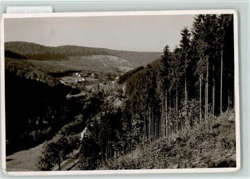 59929 W5790 Brilon FOTO KEINE AK Wald