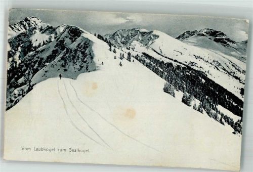 Kitzbühel Laubkogel Saalkogel