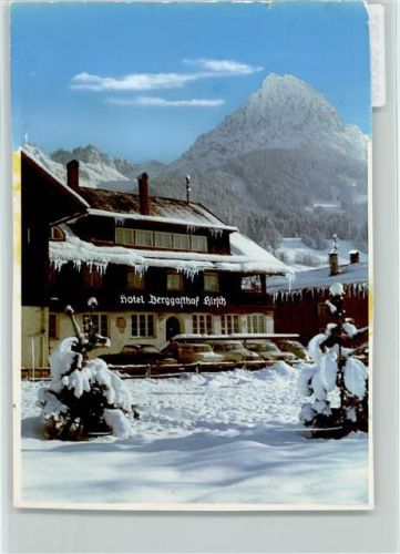 Reichenbach Hotel Berggasthof Hirsch Winter