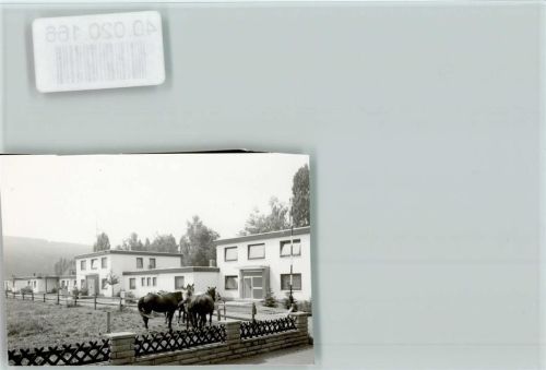 Hattorf Altersheim Pferde