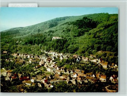 Dannenfels Luftaufnahme