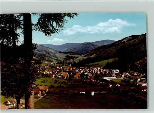 Oberwolfach Luftaufnahme