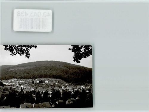 Höfen Ortsansicht