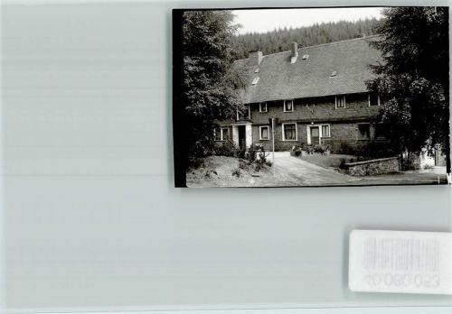 Zinse Hirschgeweih am Haus