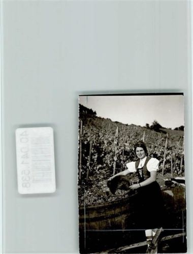 Ingelfingen Weinlese