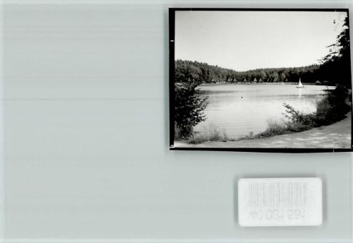 Wellingholzhausen Kronensee