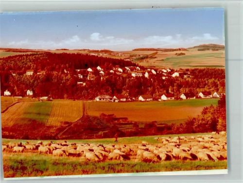 Kempenich Ortsansicht Schafherde