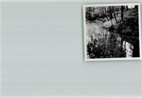 Leer Foto 6x6cm
