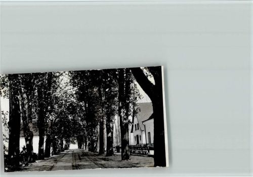 48356 W4418 Nordwalde - Foto