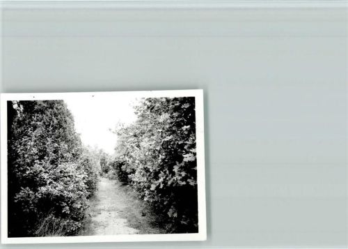Ottenstein Foto