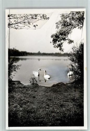 Wettringen Foto