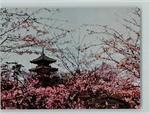 Blütenpracht imSankei-en Park AKU2