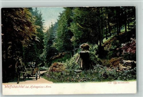 Köhlerhütte / Wolfsbachtal i. Harz / Wald