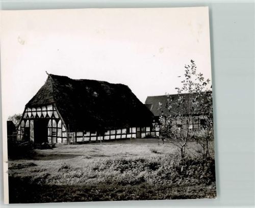 Lavelsloh Foto TK80