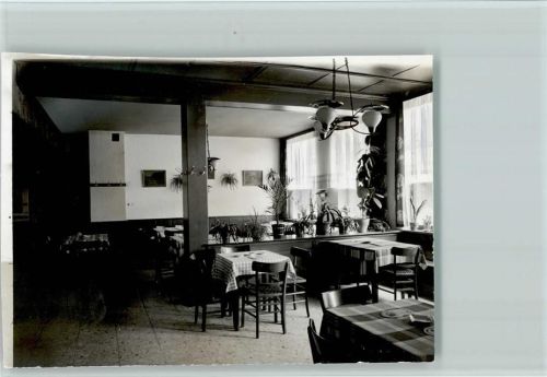 Schapdetten Foto