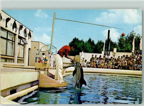 Konstanza Complexul nuzeal de stiinte ale naturii Delfinariu AKU2