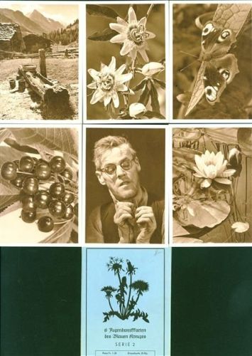 Jugendwerkkarten d. Blauen Kreuzes Lot mit 6 AK Serie, vor 1970, beste Erhaltung, nicht gelaufen