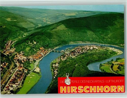 Hirschhorn Fliegeraufnahme