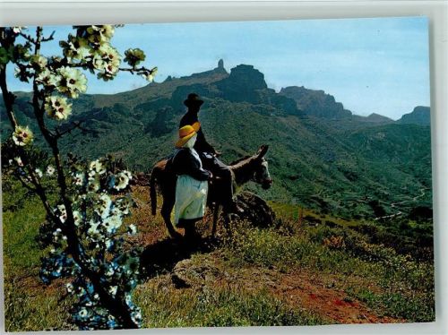 Tejeda Typische Einzelheit Roque Nublo und Bentaiga im Hintergrund