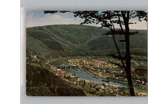 Hirschhorn