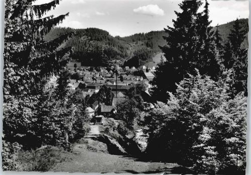 Steinwiesen