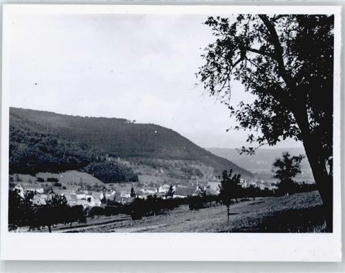 Seelbach Foto
